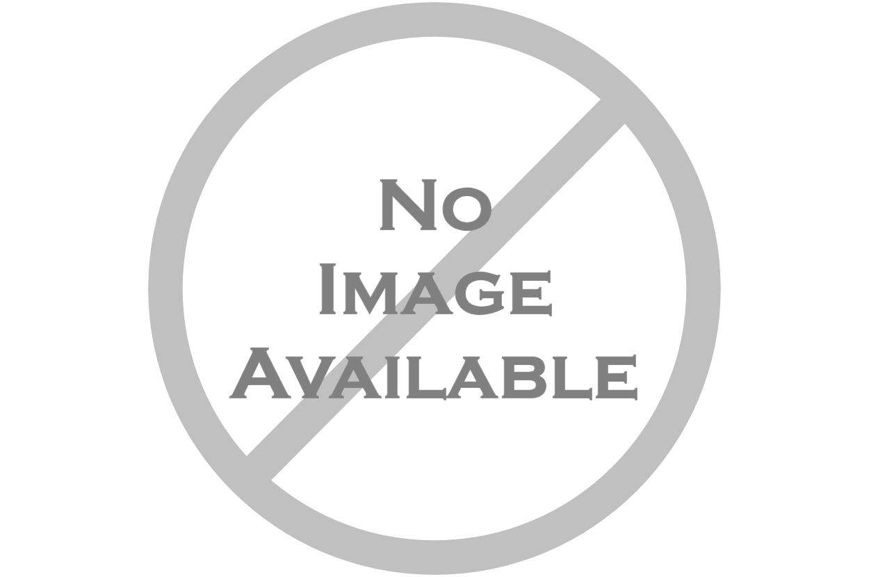 BÁO CÁO TÀI CHÍNH NĂM 2019